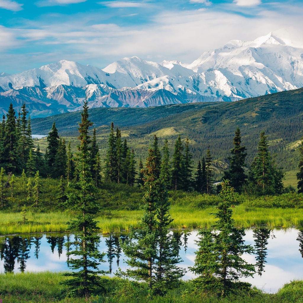 Красивый вид на горы, лес и озеро, Аляска