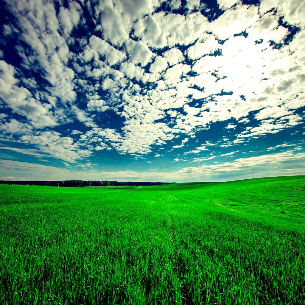 Красивые белые облака в голубом небе над зеленым полем