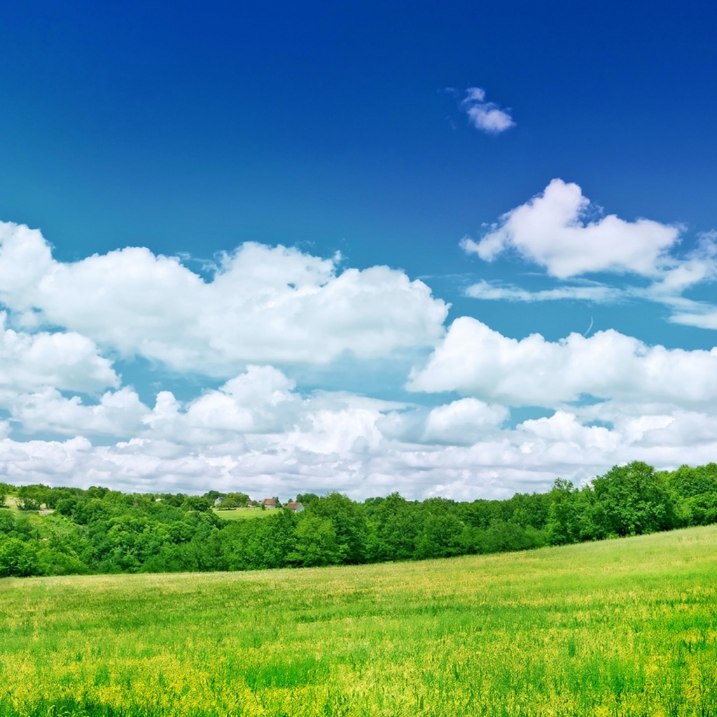 Голубое небо с белыми облаками над зеленым полем 