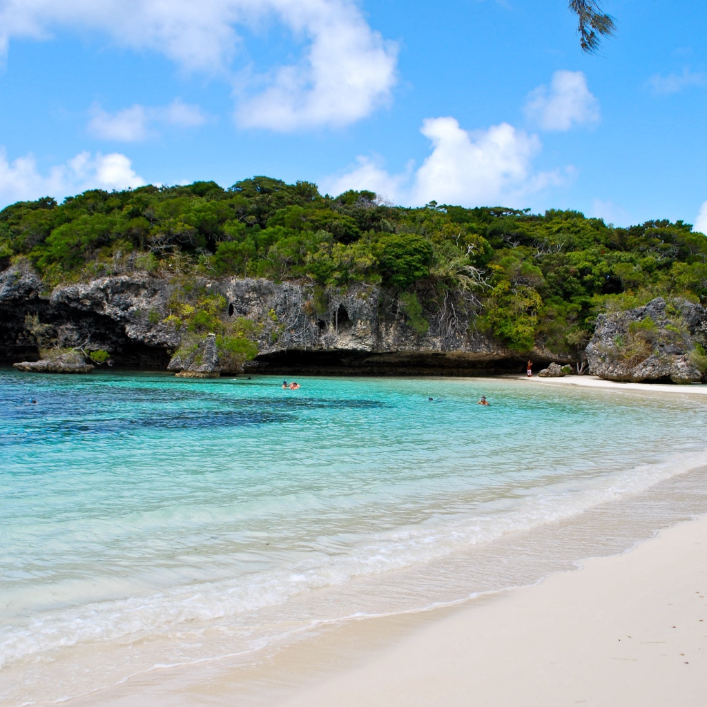 Покрытая зеленью сказала около пляжа на морском берегу 