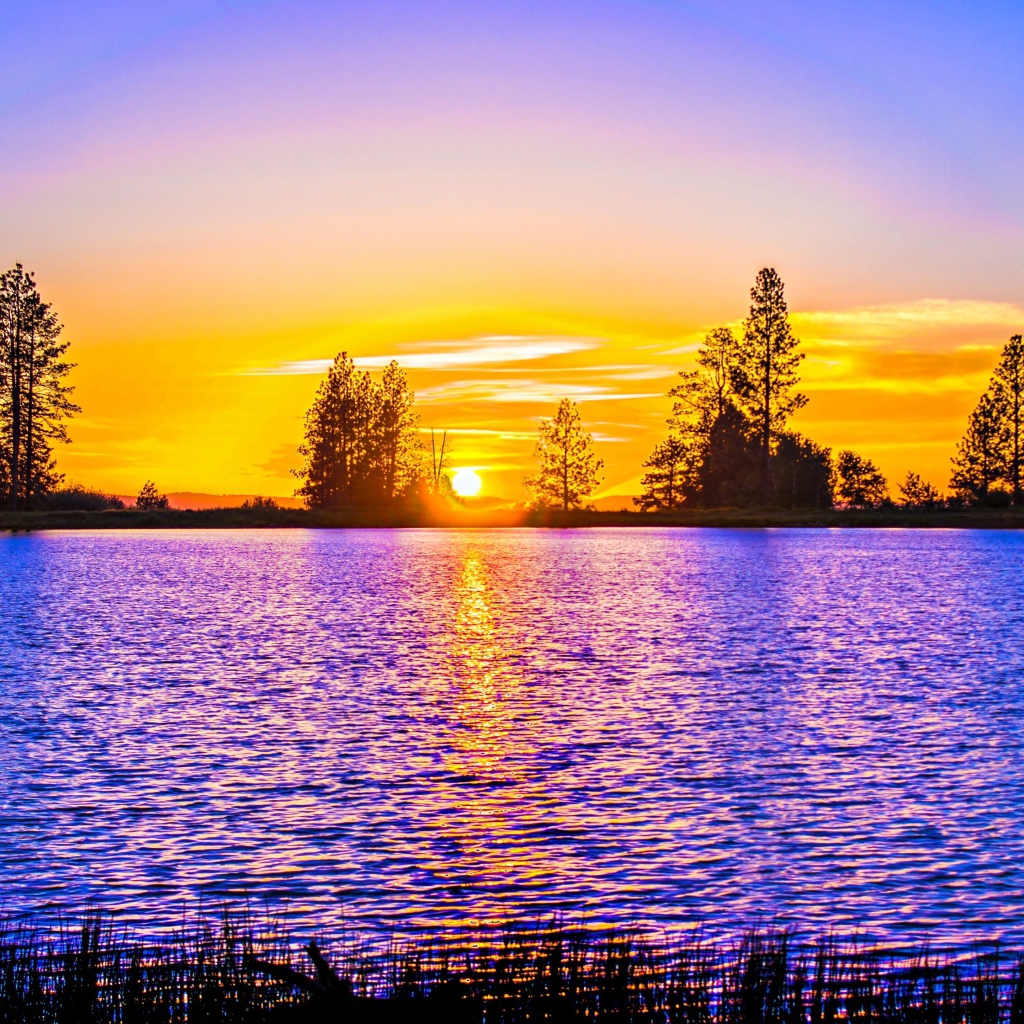 Рассвет яркого солнца над рекой