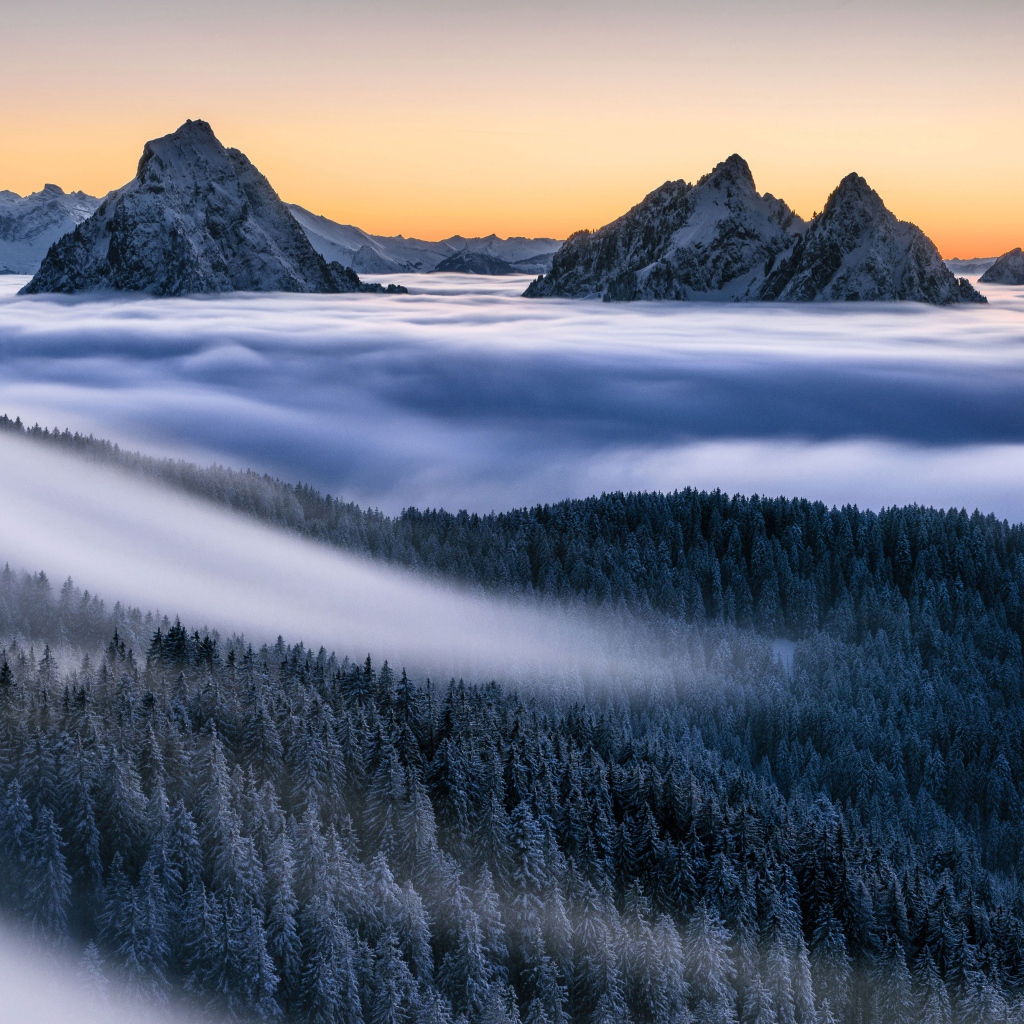 Туман покрывает лес и заснеженные верхушки гор