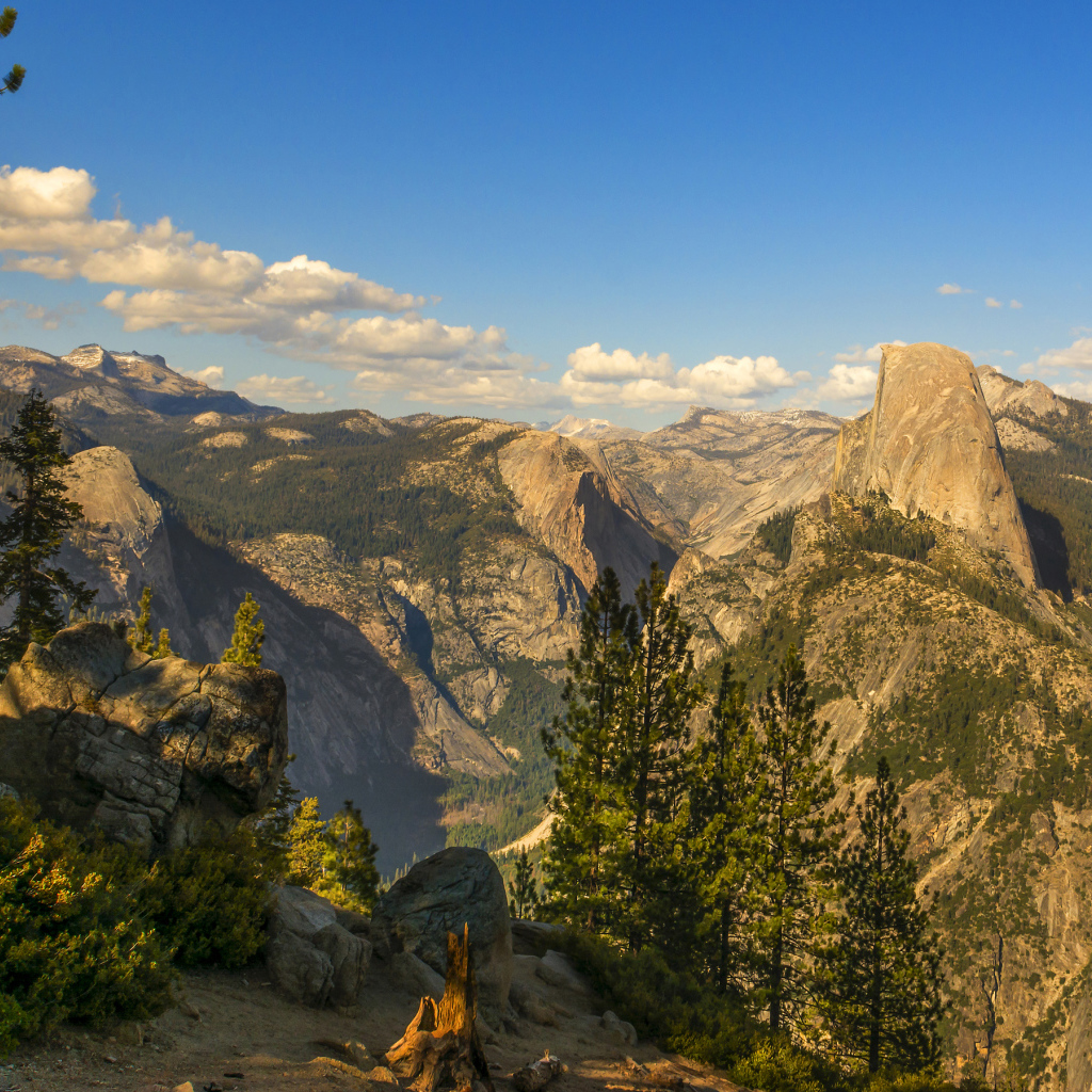 Покрытые лесом горы под голубым небом 