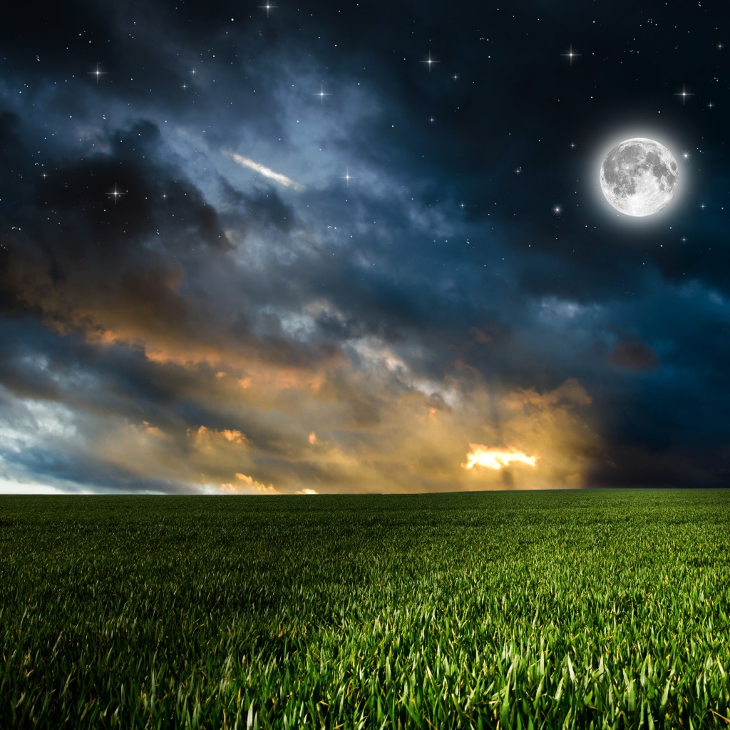 Зеленое поле под красивым небом с яркой луной ночью