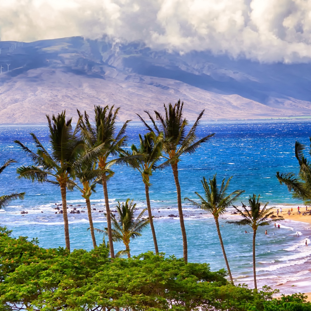 Зеленые пальмы на пляже у океана на фоне гор
