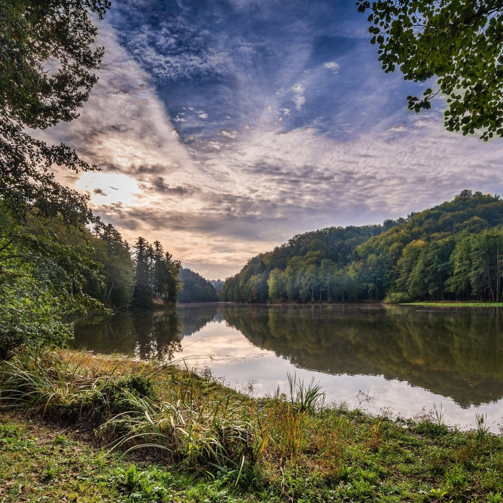 Зеленые деревья на берегу реки под красивым небом