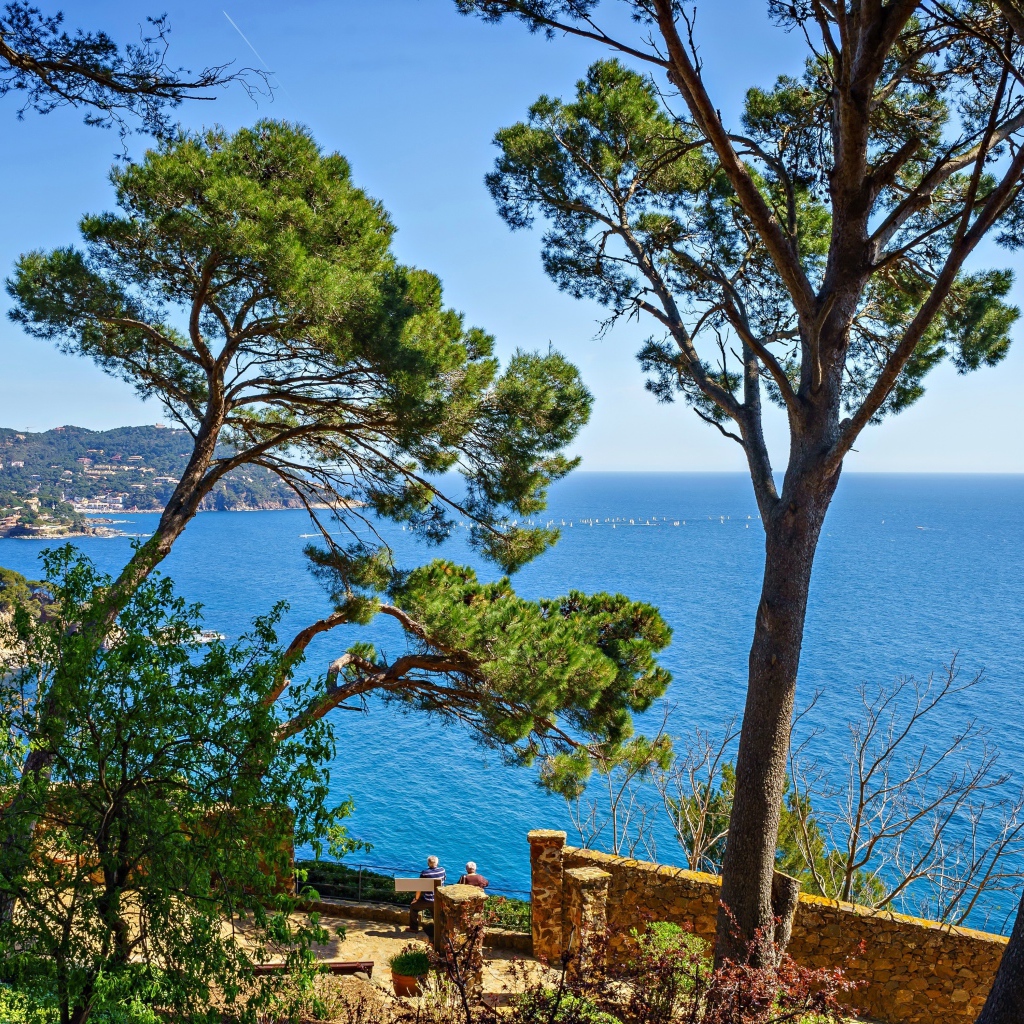 Высокие деревья на побережье на фоне моря, Испания