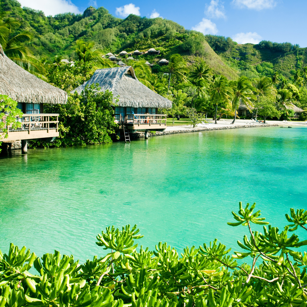 Дома на сваях на зеленом тропическом пляже