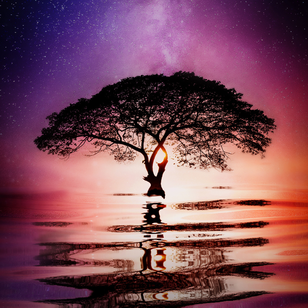 Большое ветвистое дерево в воде