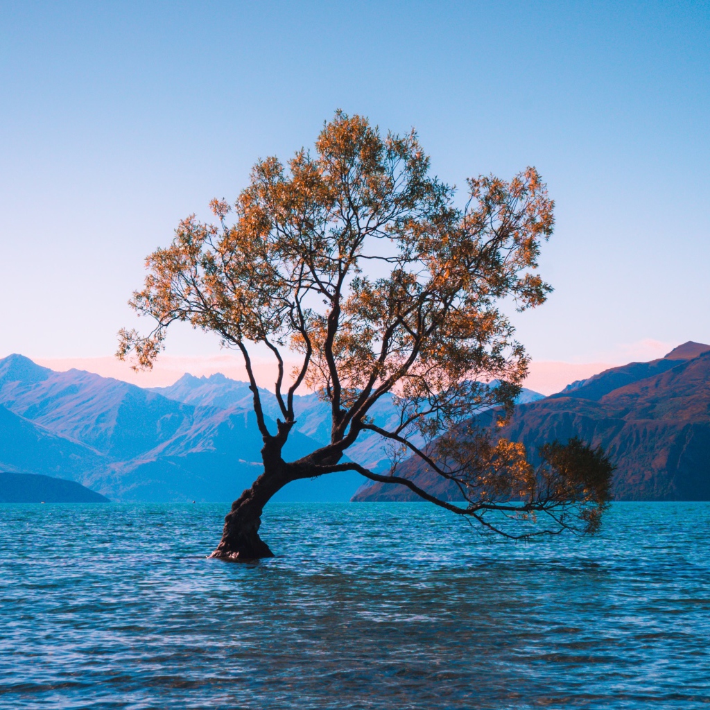 Одинокое дерево в воде на фоне гор