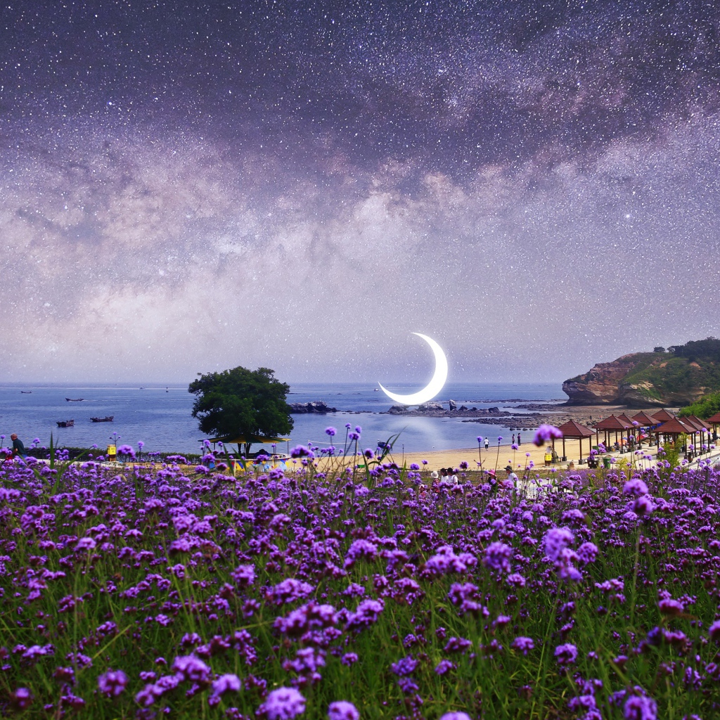 Фиолетовые полевые цветы на фоне ночного неба с большим месяцем 