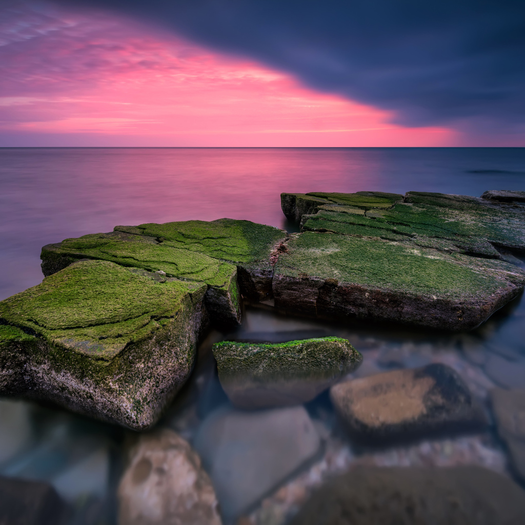 Покрытые зеленым мхом камни в воде