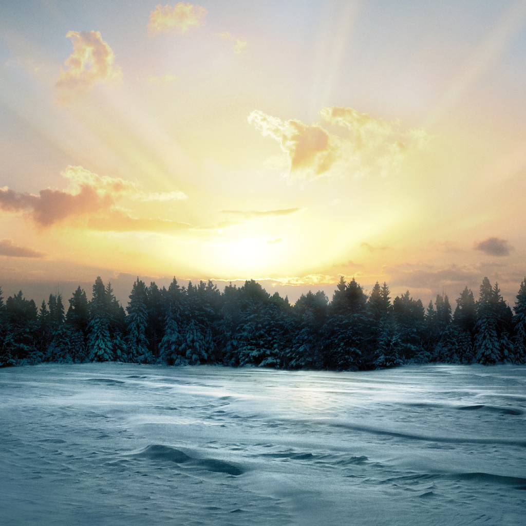 Восход солнца над заснеженным лесом