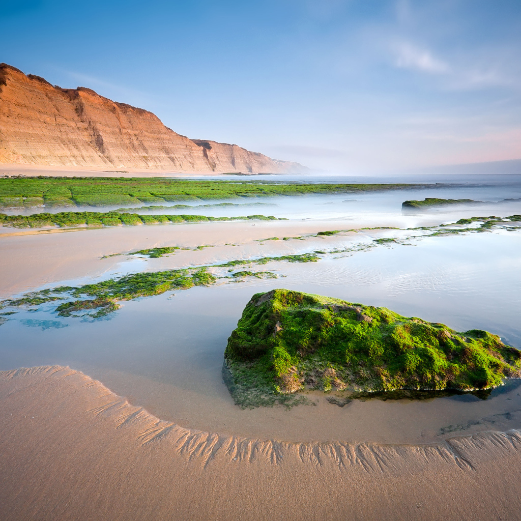 Камни на песчаном пляже покрыты зеленым мхом