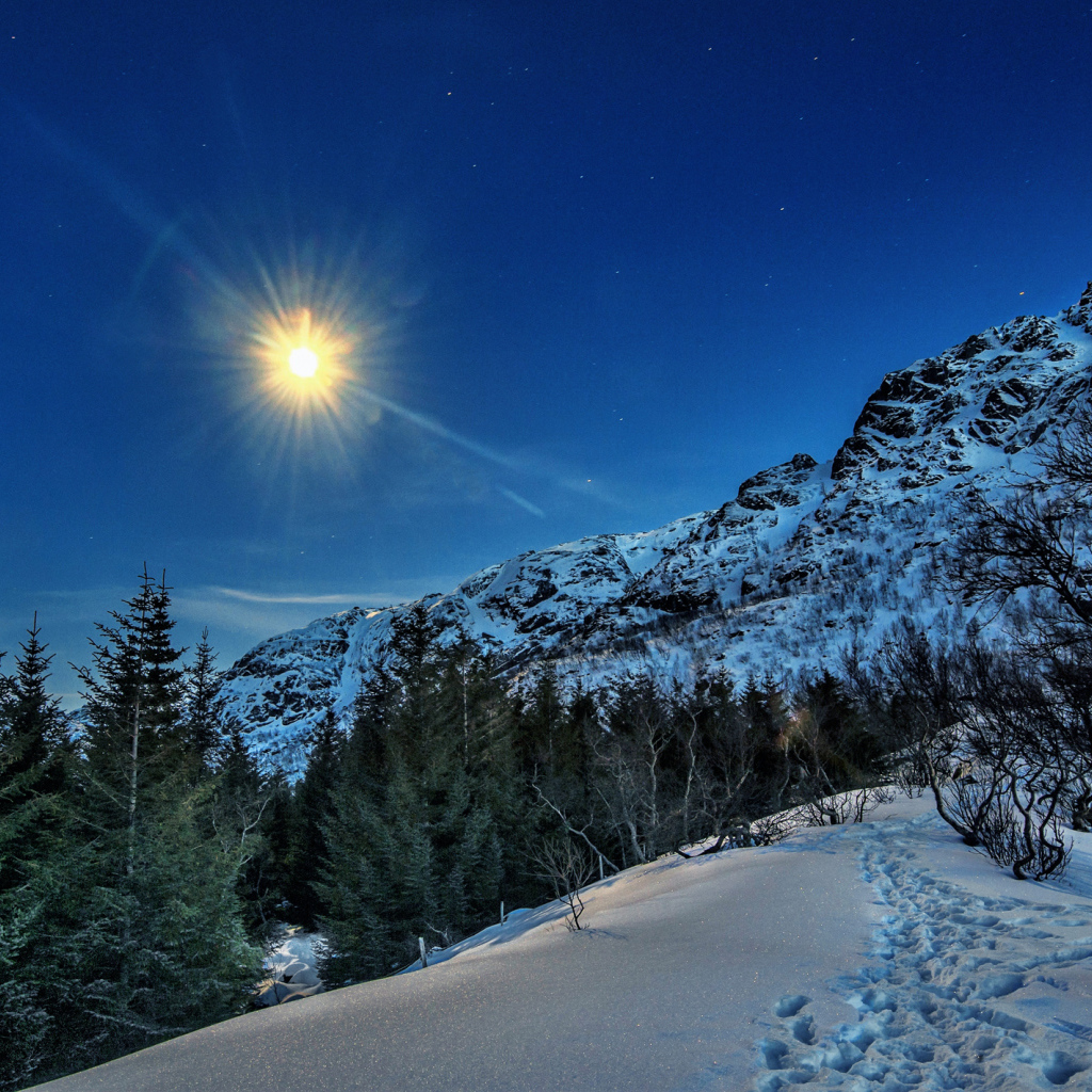 Солнце над заснеженными горами и лесом,  Лофотенские острова. Норвегия