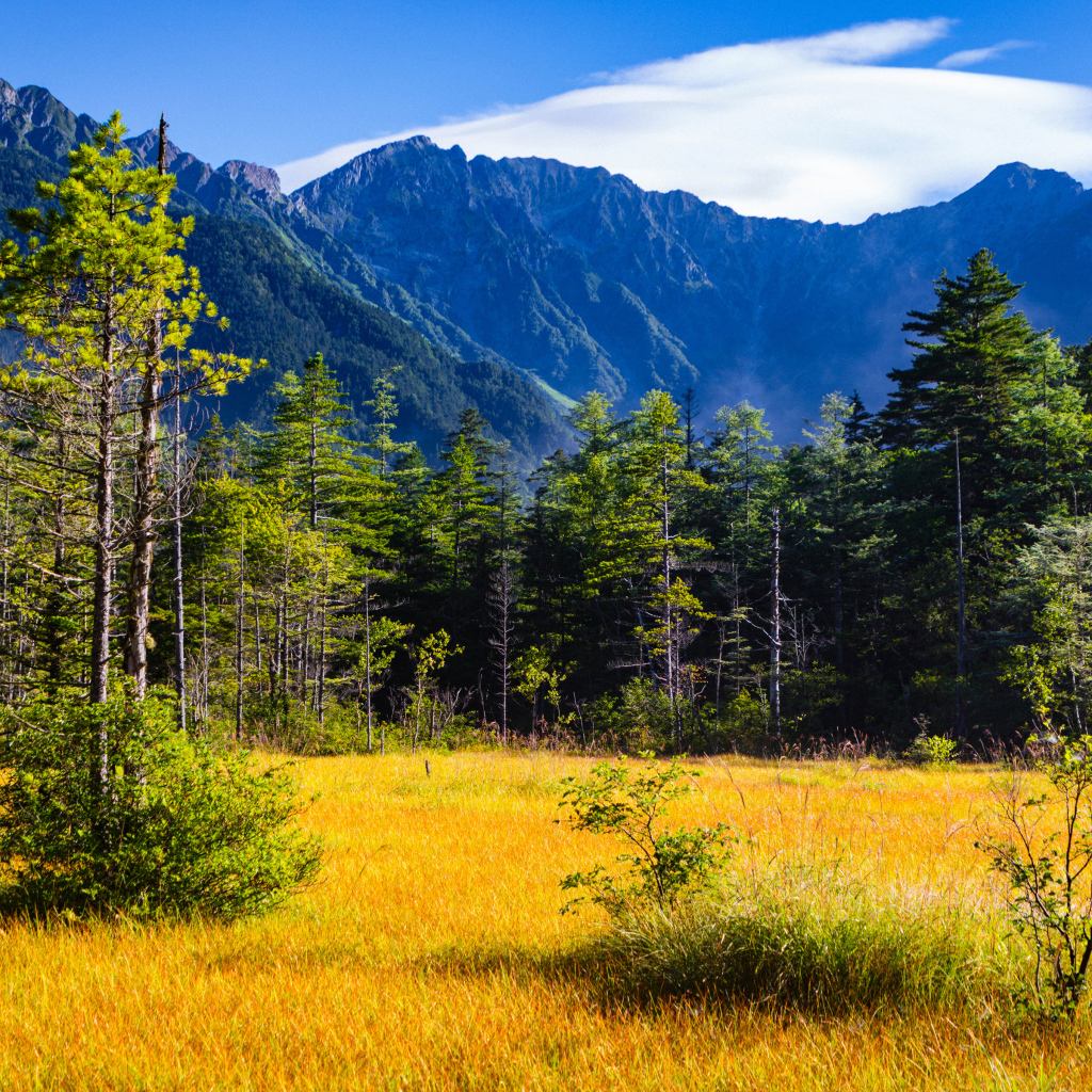 Вид на горы и лес под голубым небом, Япония