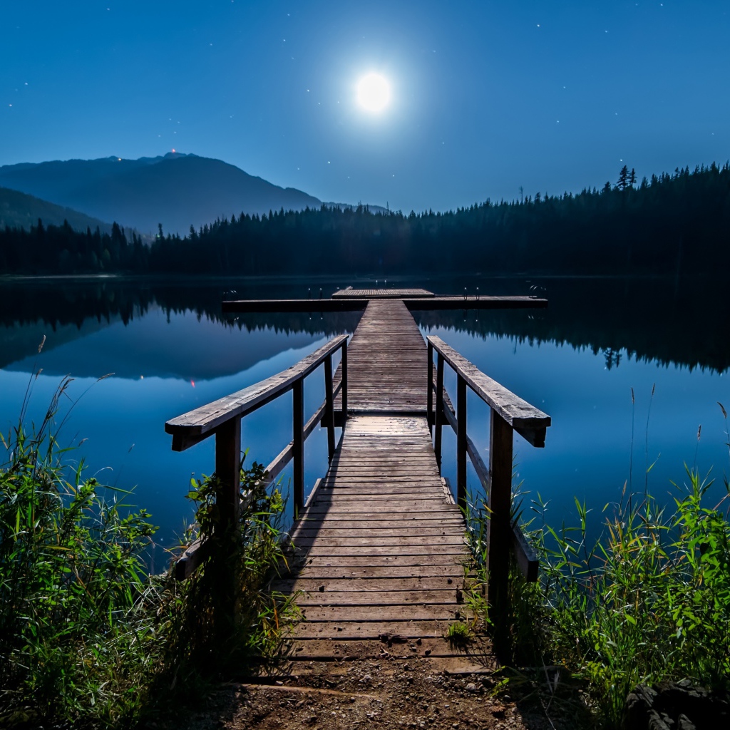 Деревянный мост на озере в полнолуние