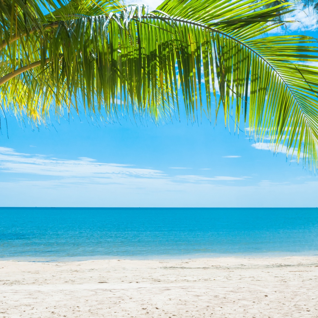 Красивый тропический пляж под голубым небом 