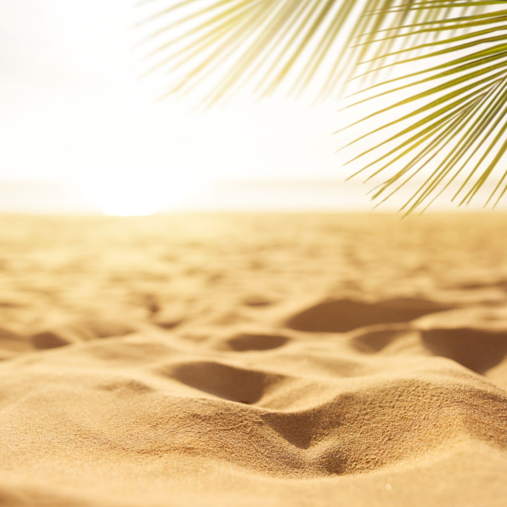 Горячий желтый песок на пляже под палящим солнцем