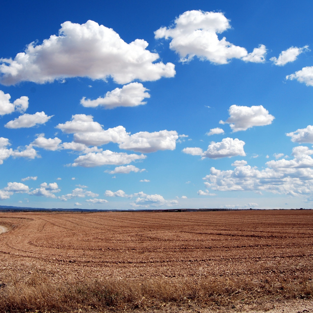 Белые пушистые облака в голубом небе над полем осенью 