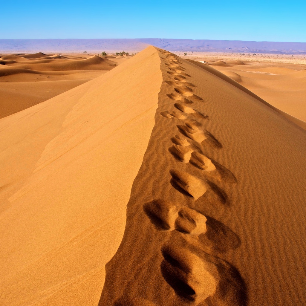 Следы на горячем песке в пустыне Сахара