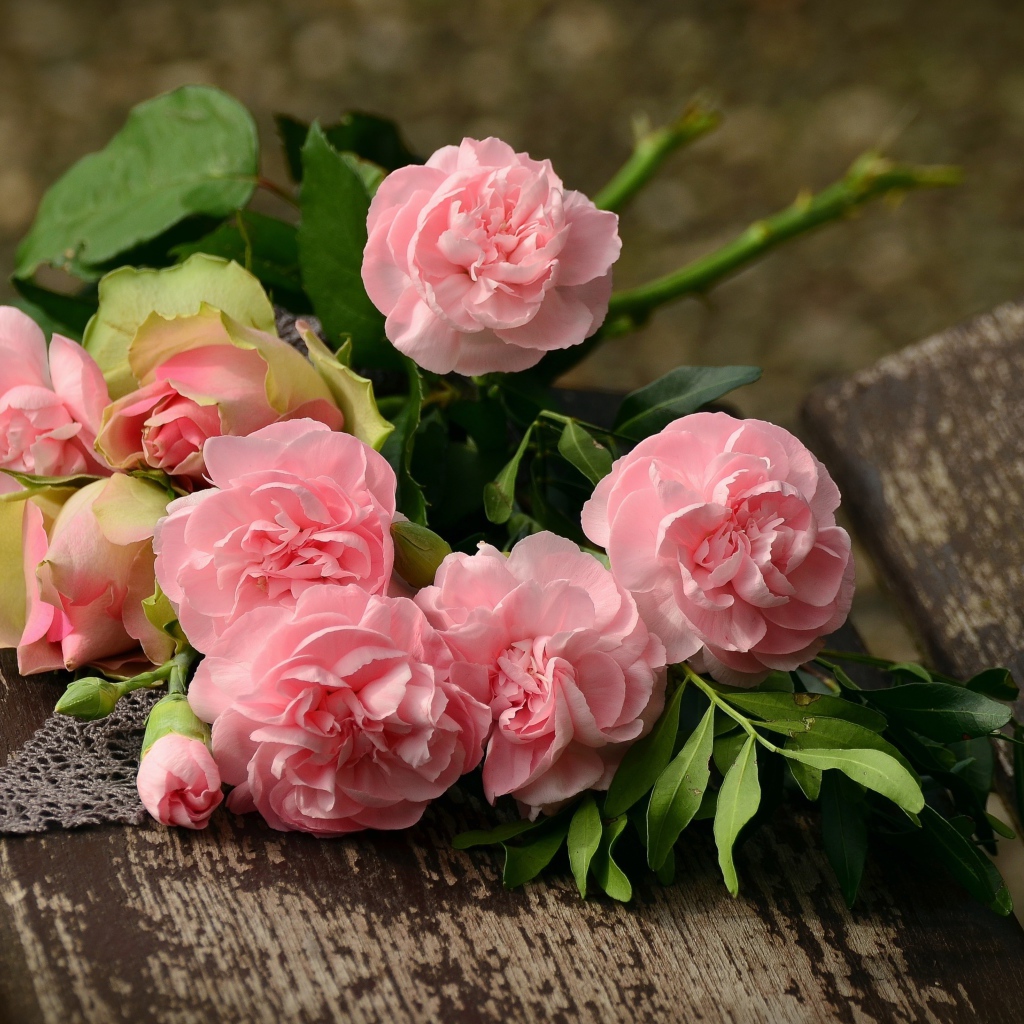 Букет красивых нежных розовых роз лежит на деревянной лавке