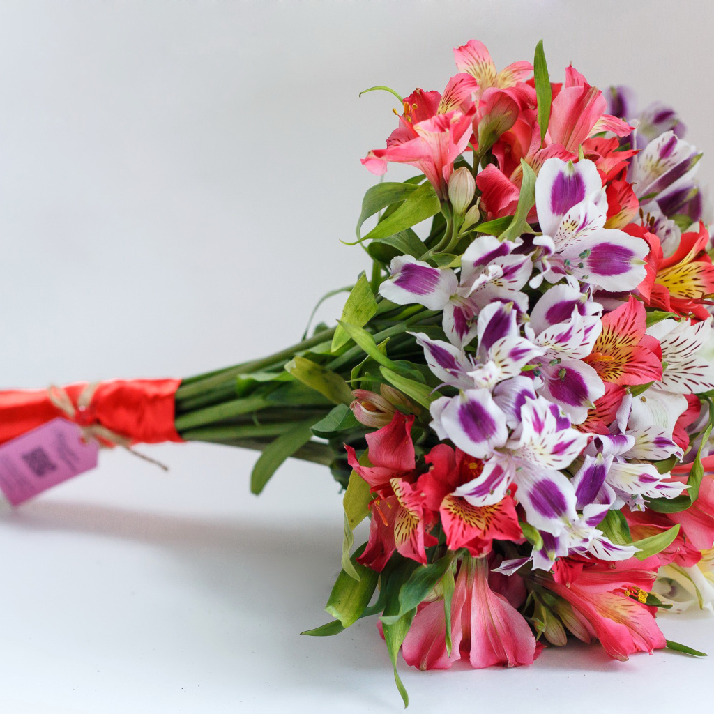 Букет цветов альстромерия на сером фоне 