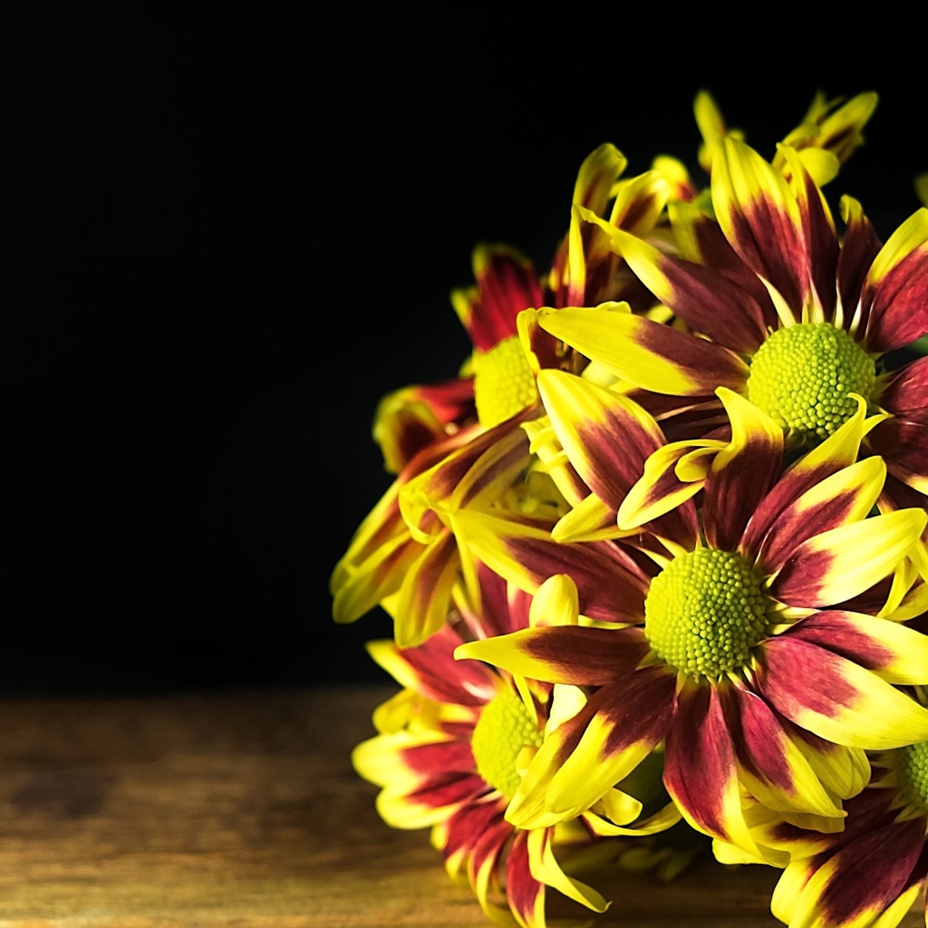 Букет газании на деревянном столе