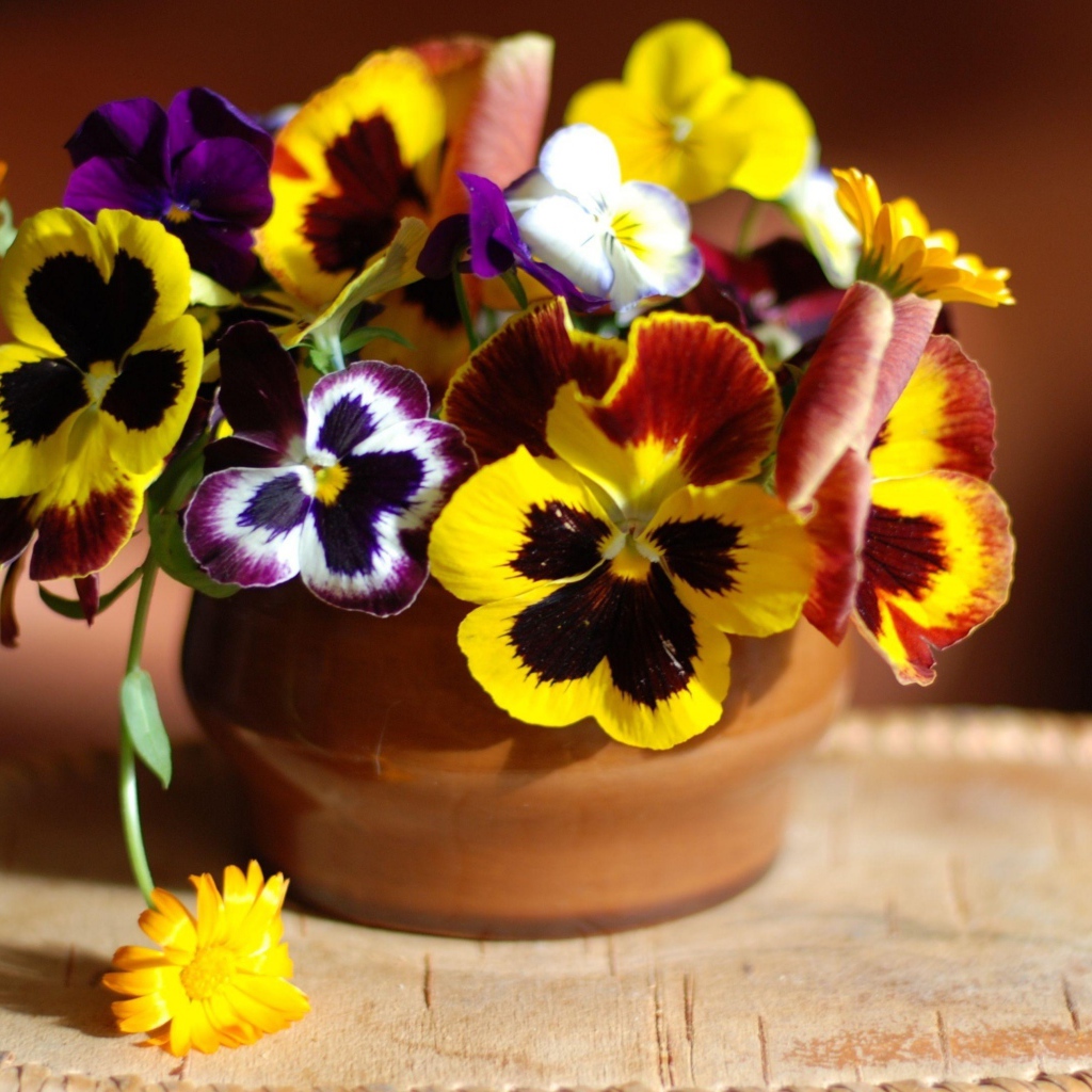 Букет цветов анютины глазки в вазе