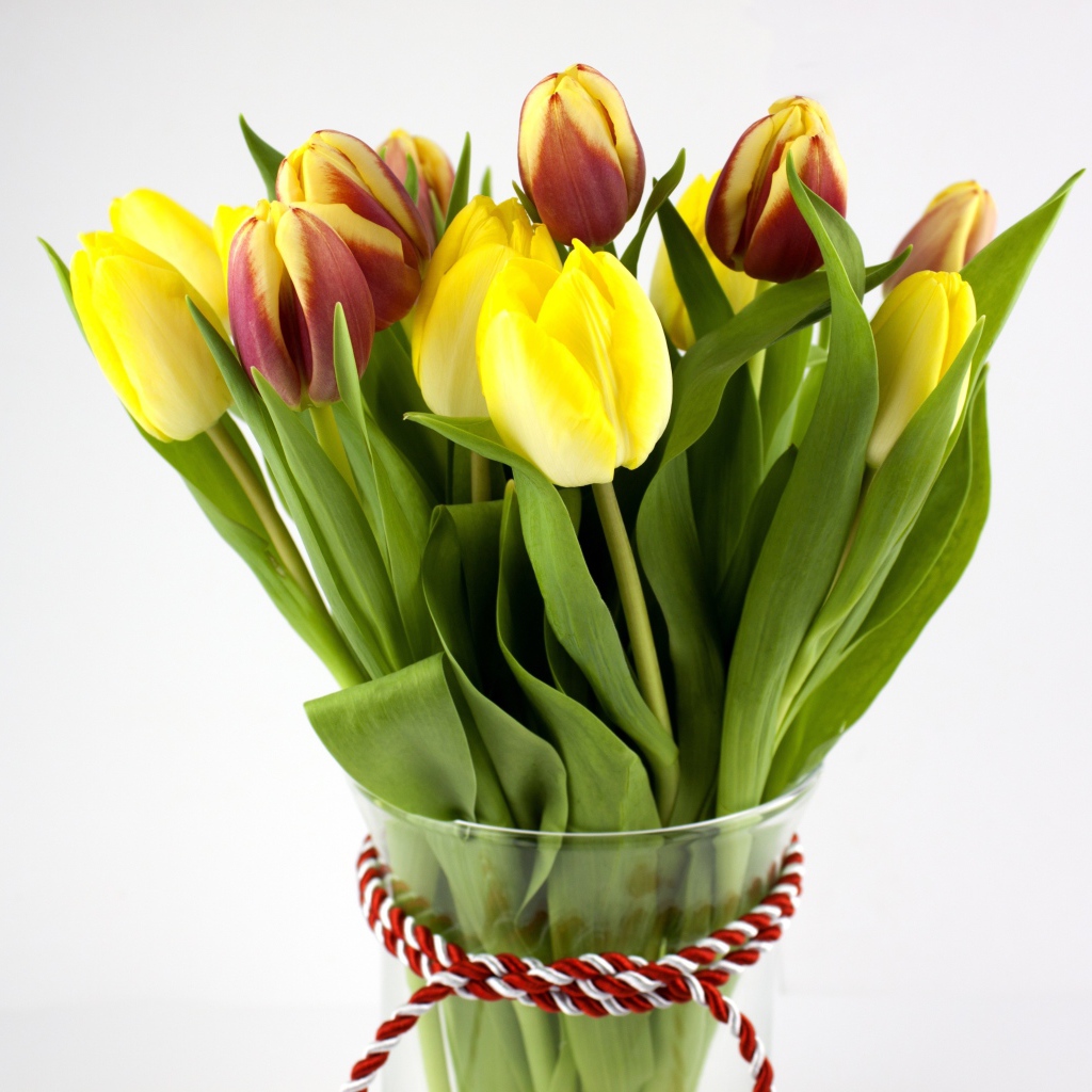 Букет желтых и красно-желтых тюльпанов на сером фоне