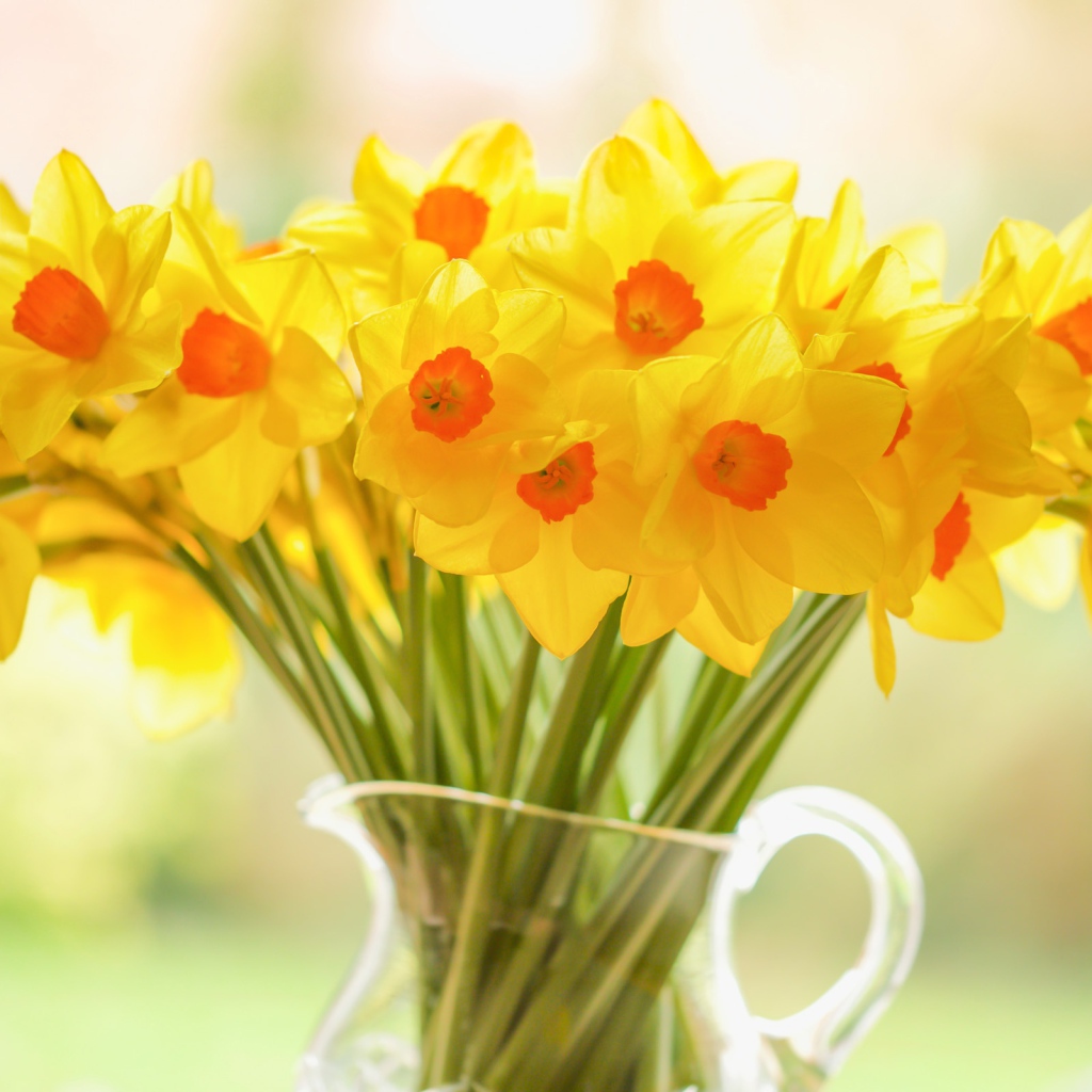 Букет желтых нарциссов в стеклянной вазе