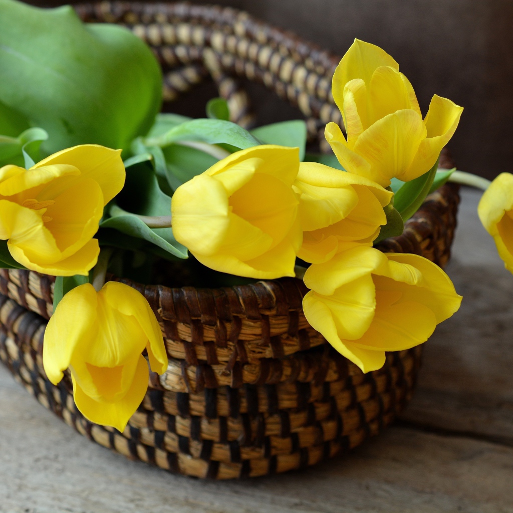 Букет желтых тюльпанов в корзине