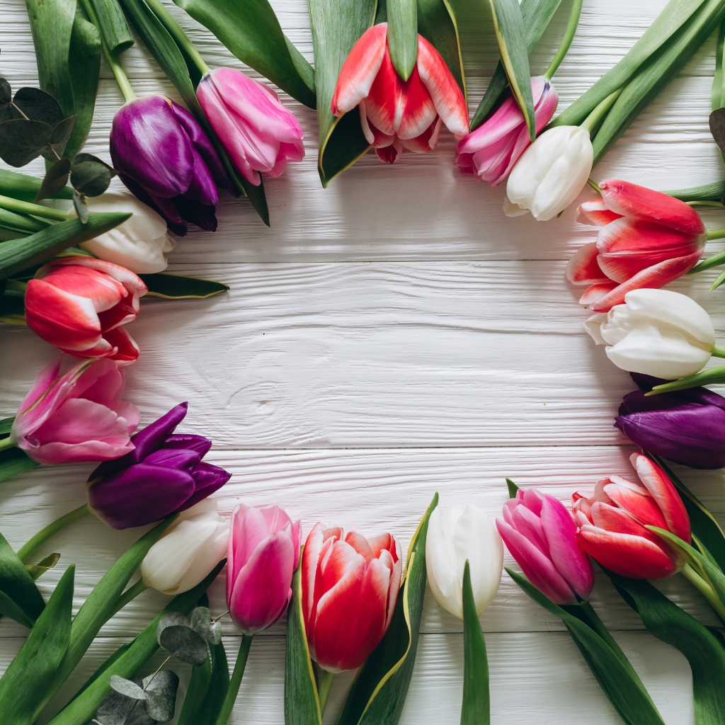 Круг из разноцветных тюльпанов на столе 