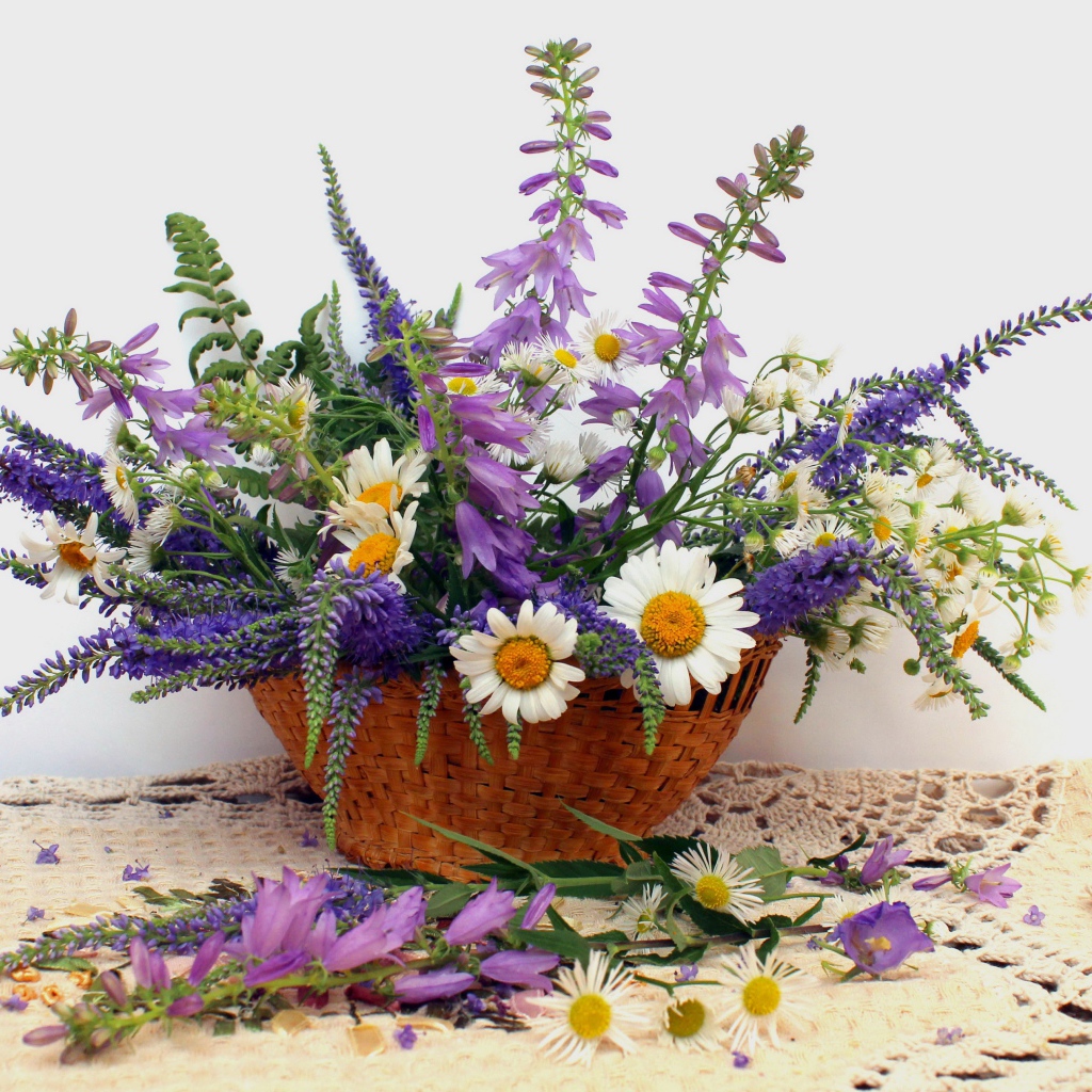 Корзина красивых полевых цветов на сером фоне