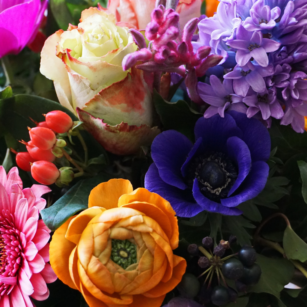 Красивый букет крупным планом