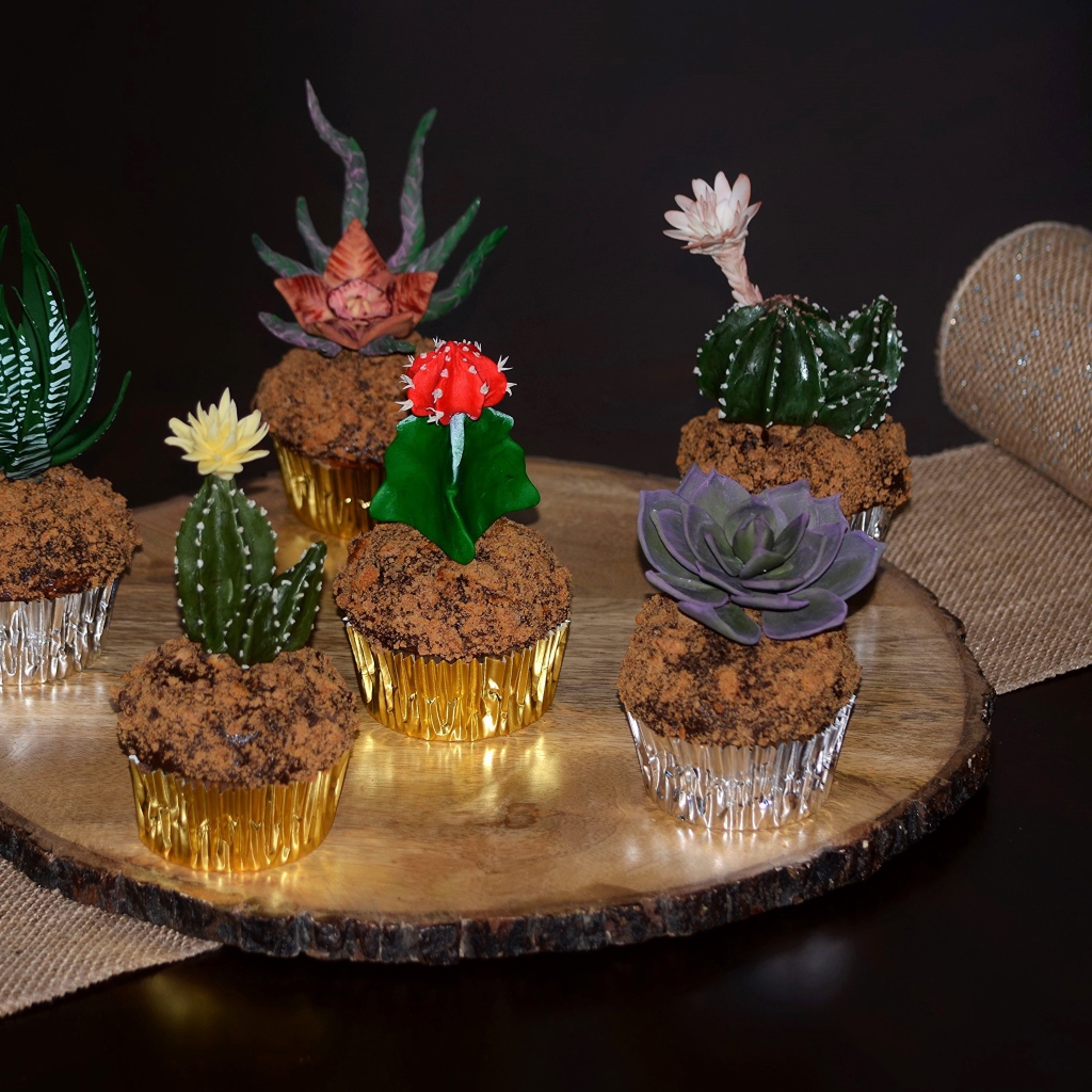 Красивые цветущие комнатные кактусы