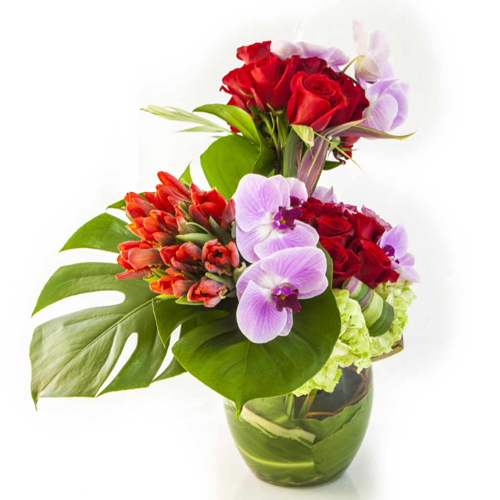 Красивые цветы в стеклянной вазе на белом фоне