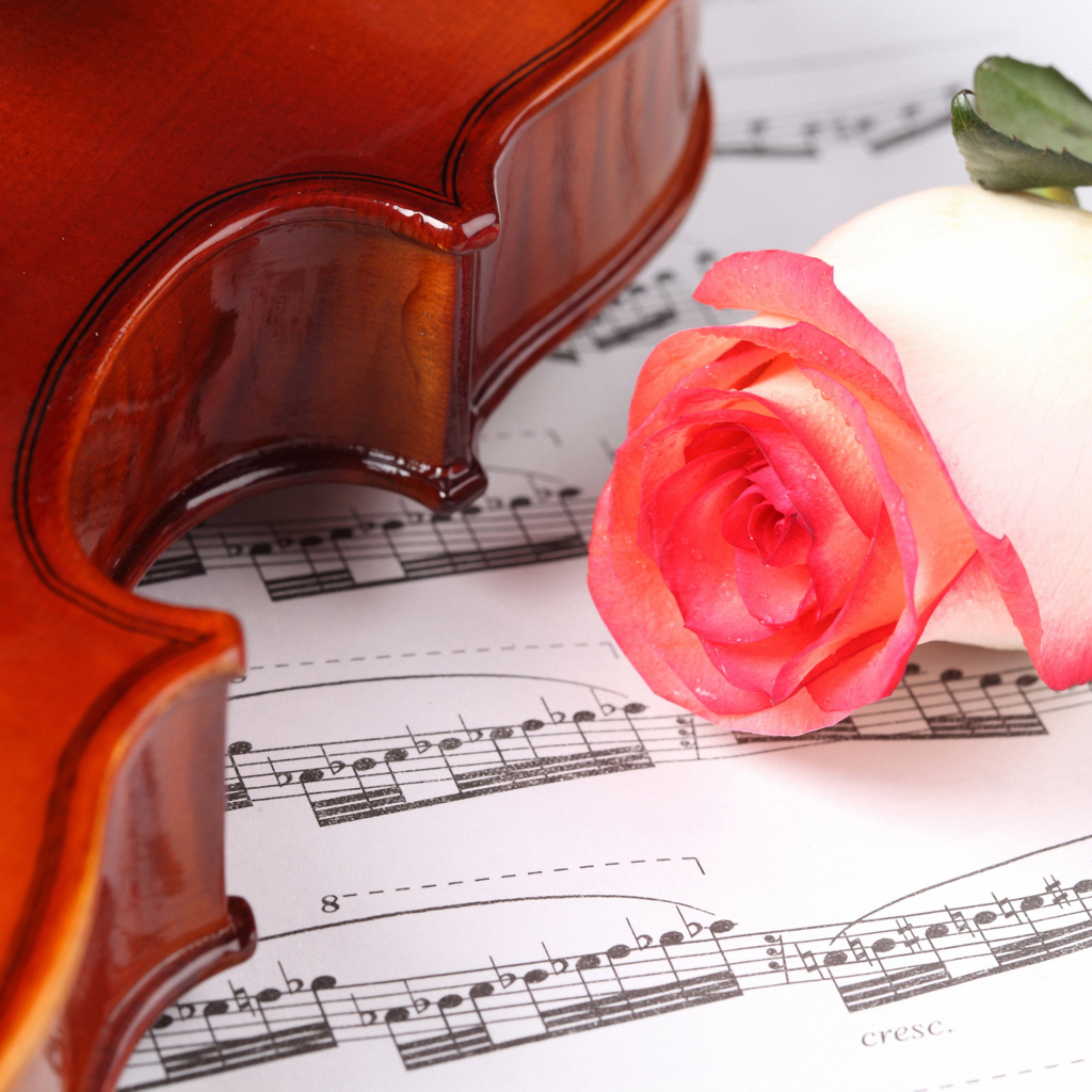 Красивая розовая роза на нотах со скрипкой