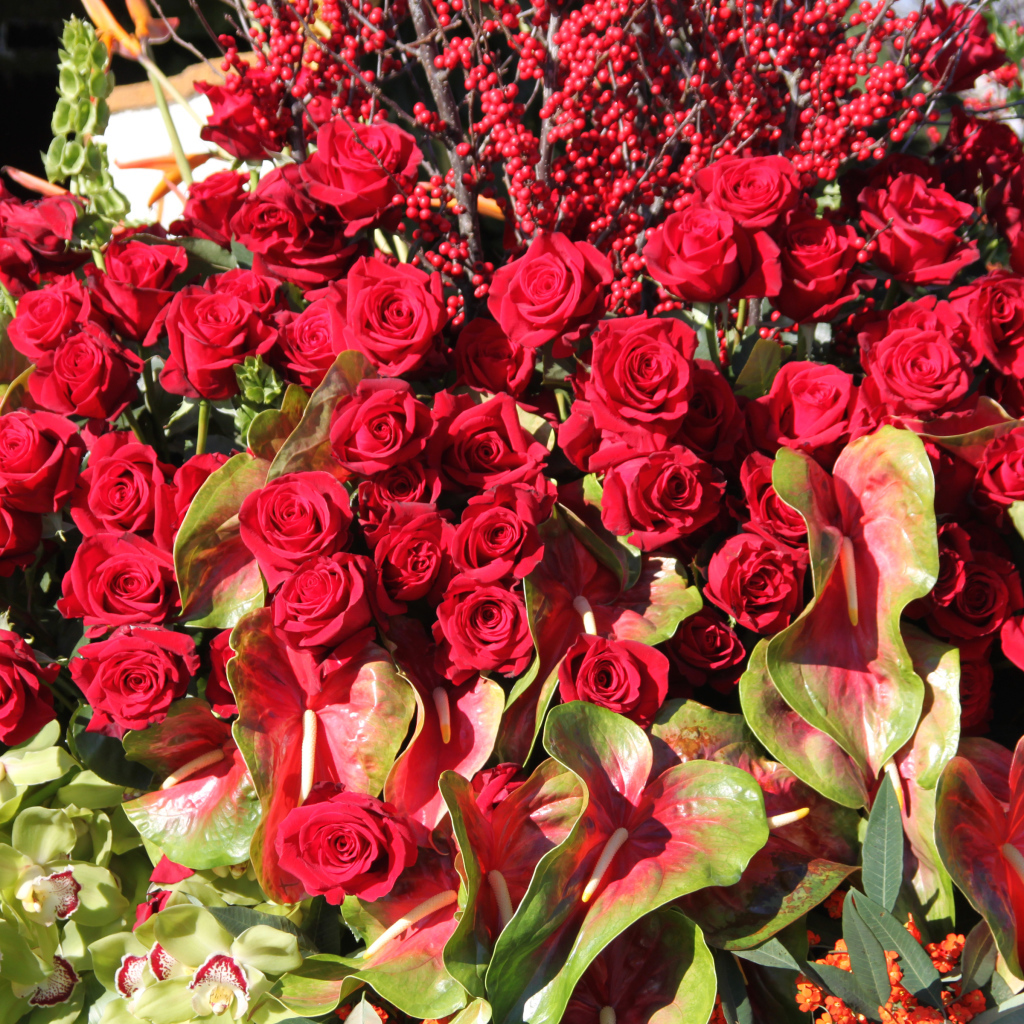 Красивые красные розы с цветами антуриум