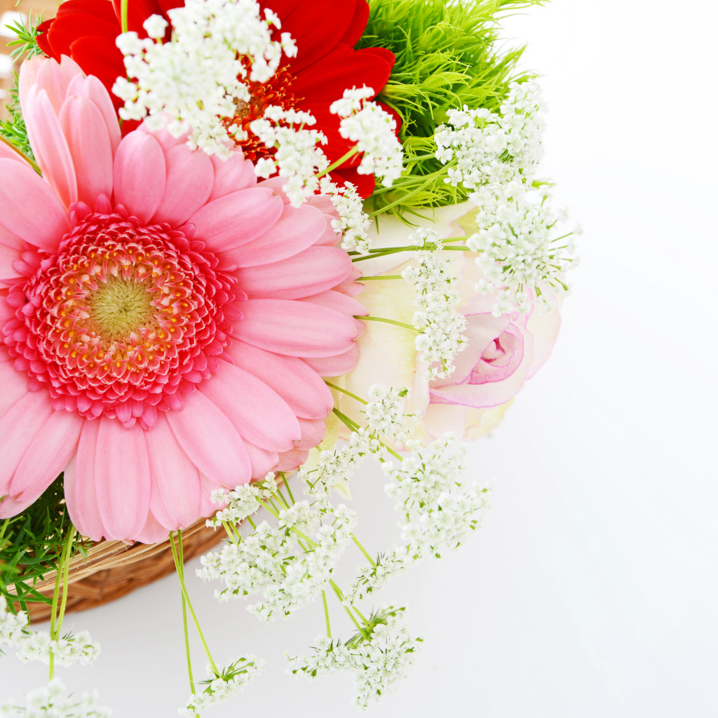 Красивый нежный букет с цветами герберы на белом фоне