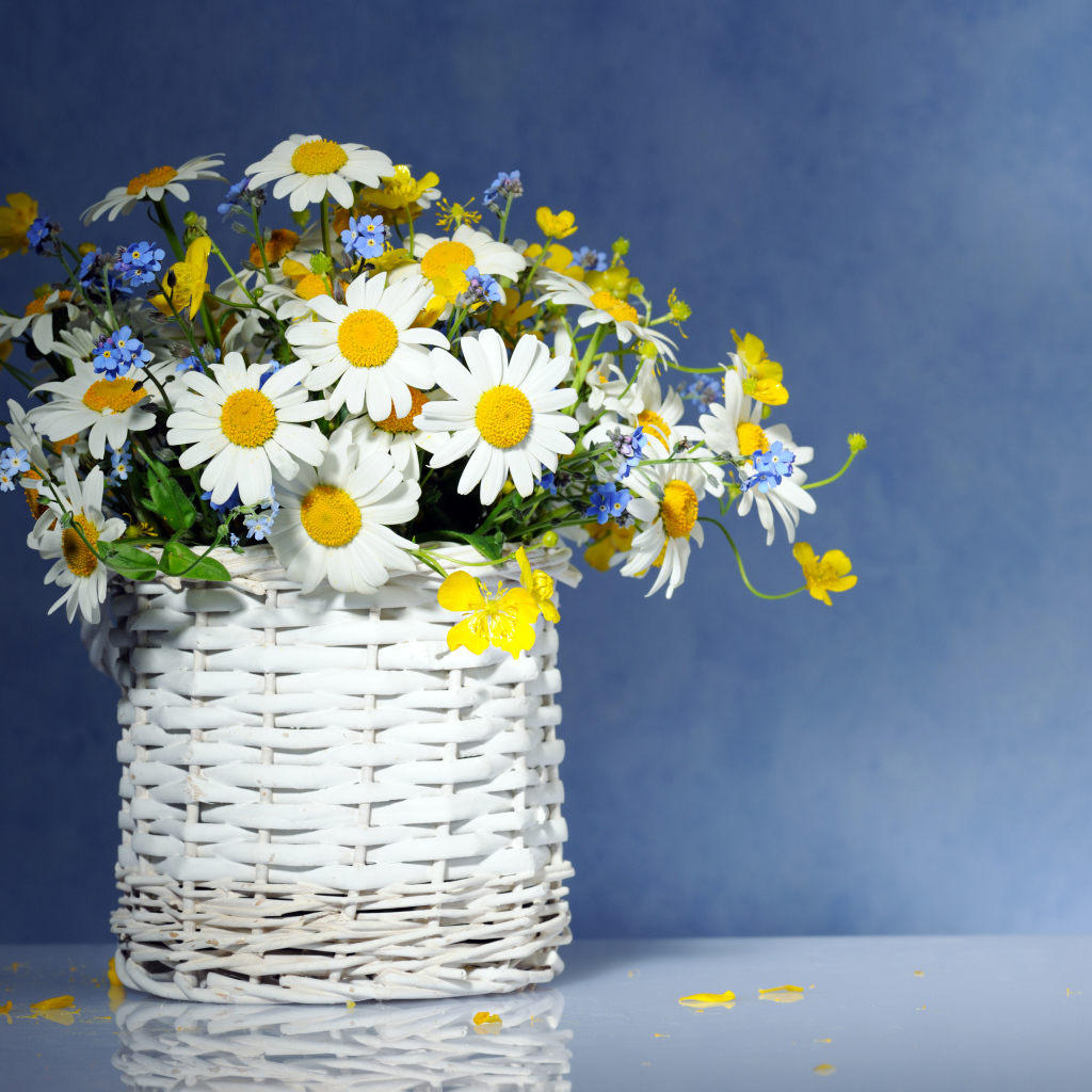 Красивые нежные ромашки и незабудки в плетеной вазе