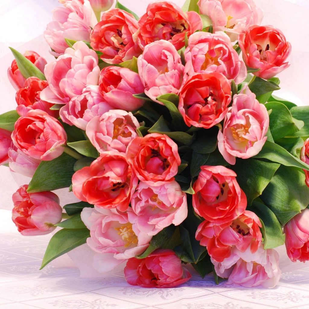 Большой красивый букет розовых тюльпанов крупным планом