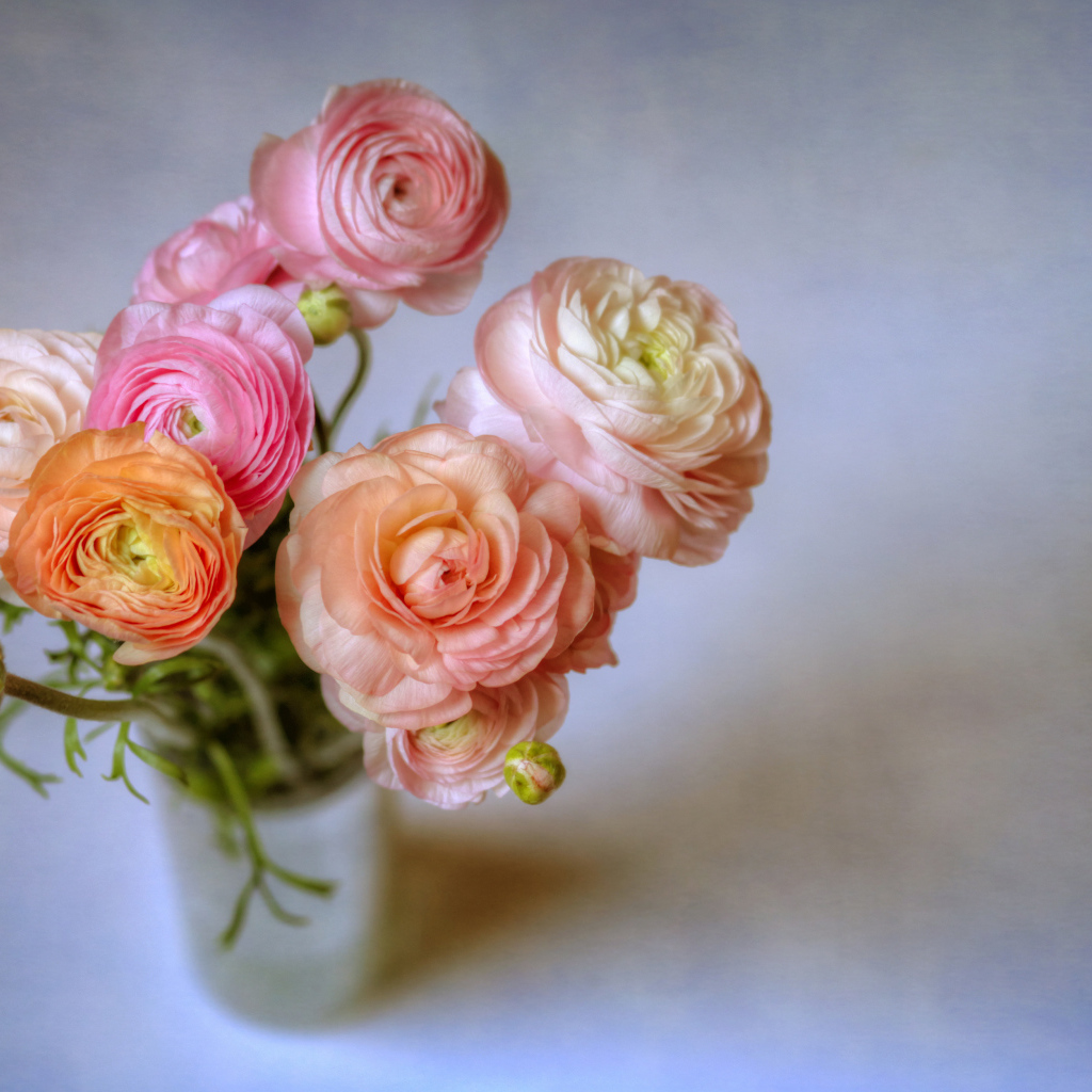 Букет лютиков в вазе на сером фоне