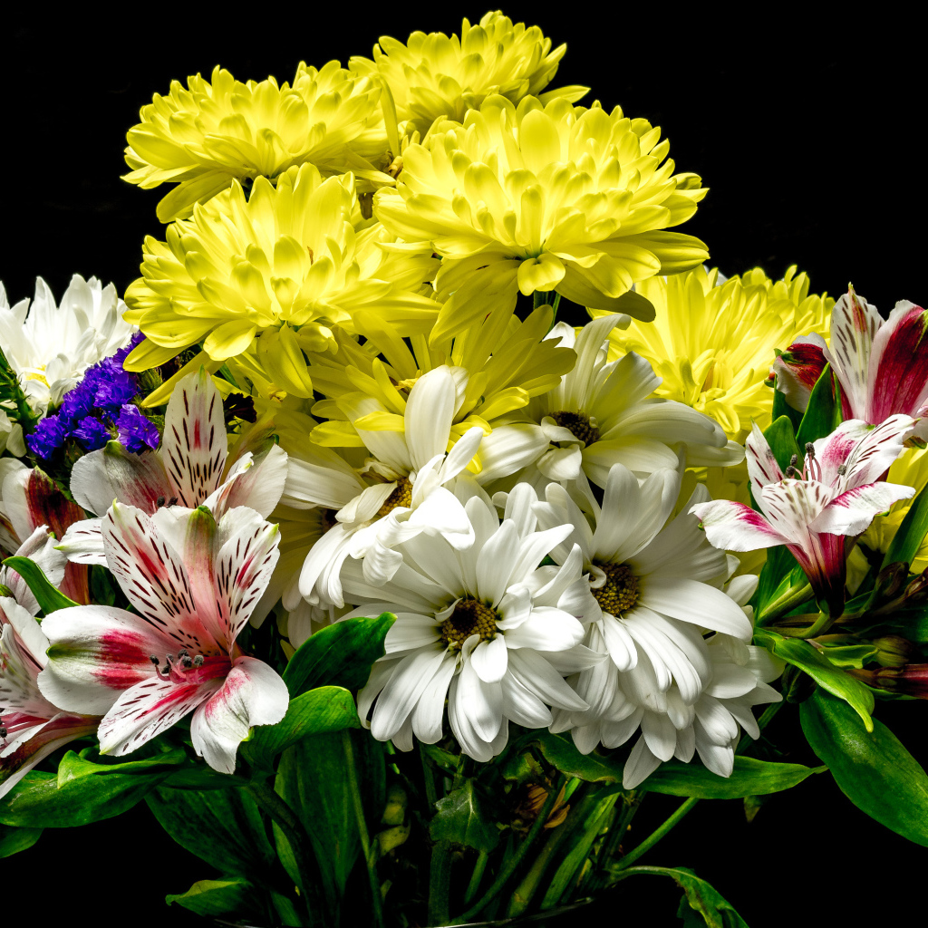 Букет с цветами хризантемы и альстромерии на черном фоне
