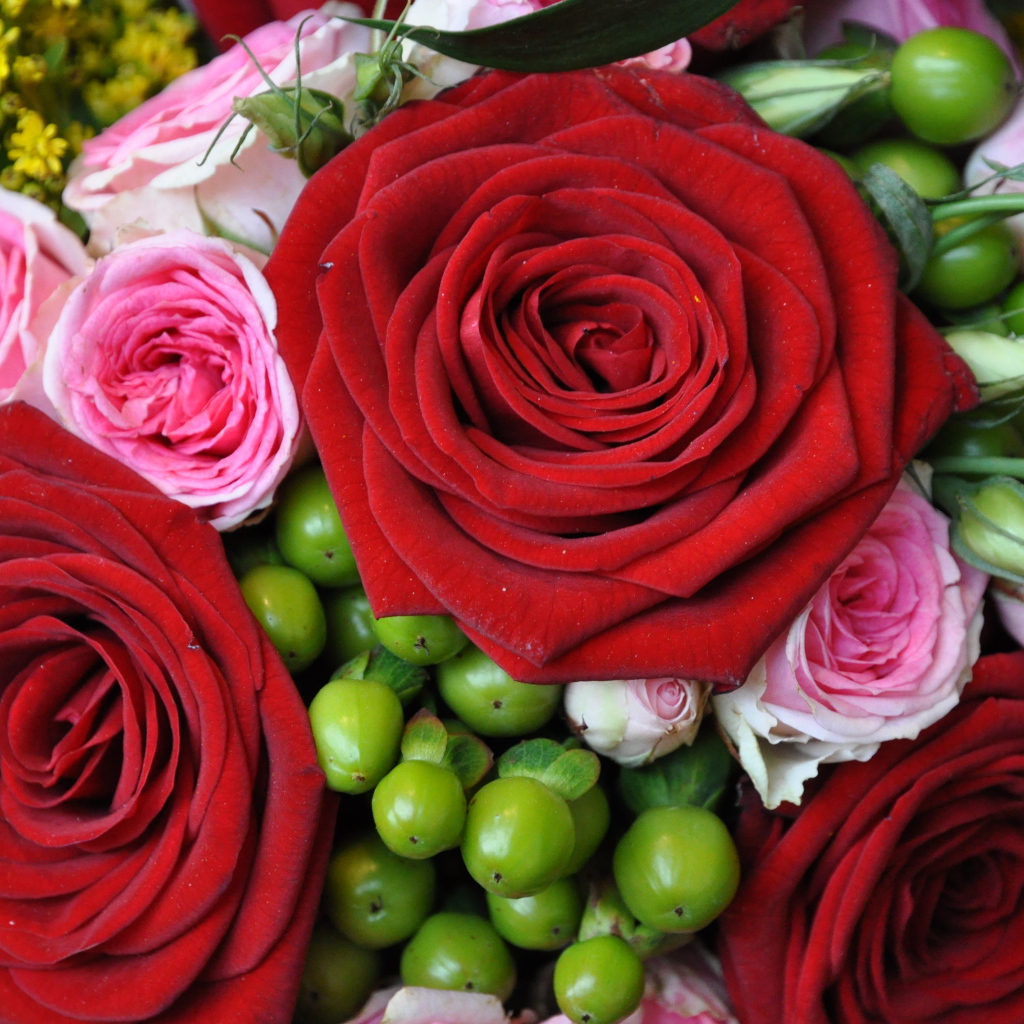 Букет из крупных красных роз с розовыми 