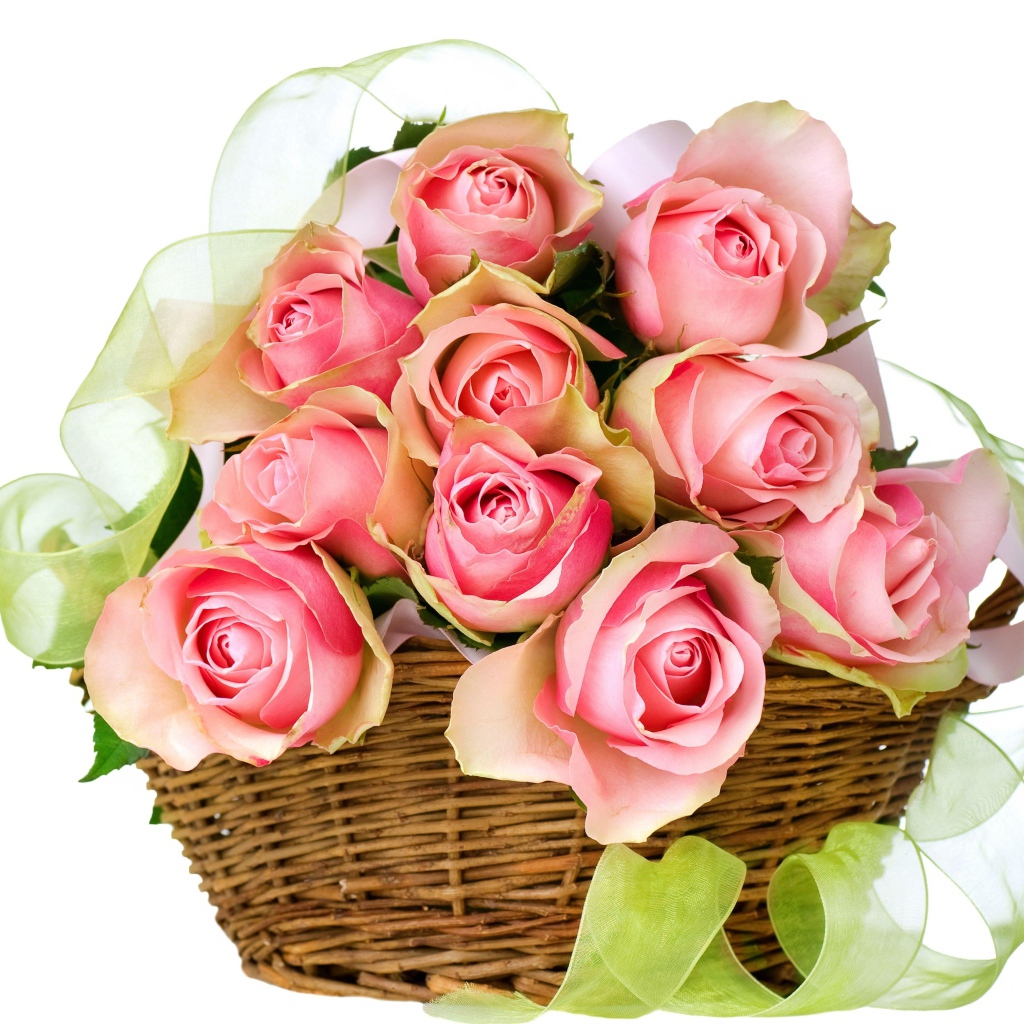 Букет розовых роз в корзине с лентой на белом фоне