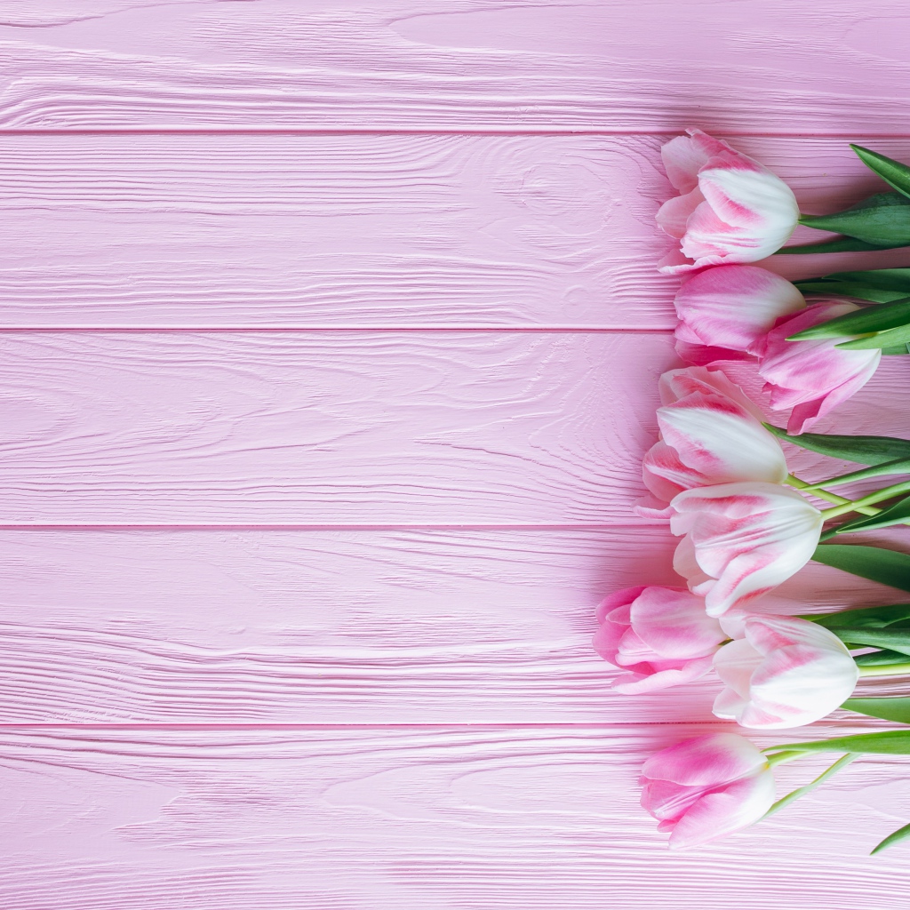 Букет розовых нежных тюльпанов на розовой поверхности 