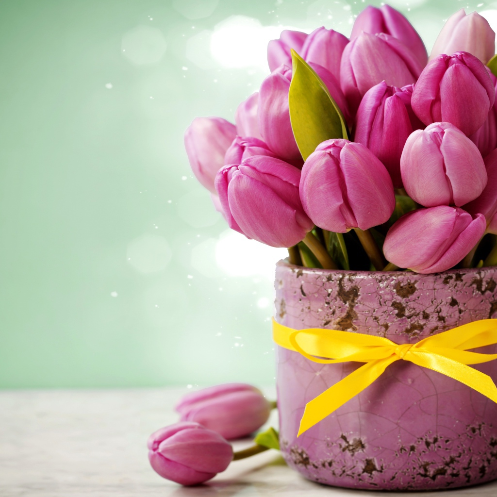 Букет розовых тюльпанов в горшке с желтым бантом