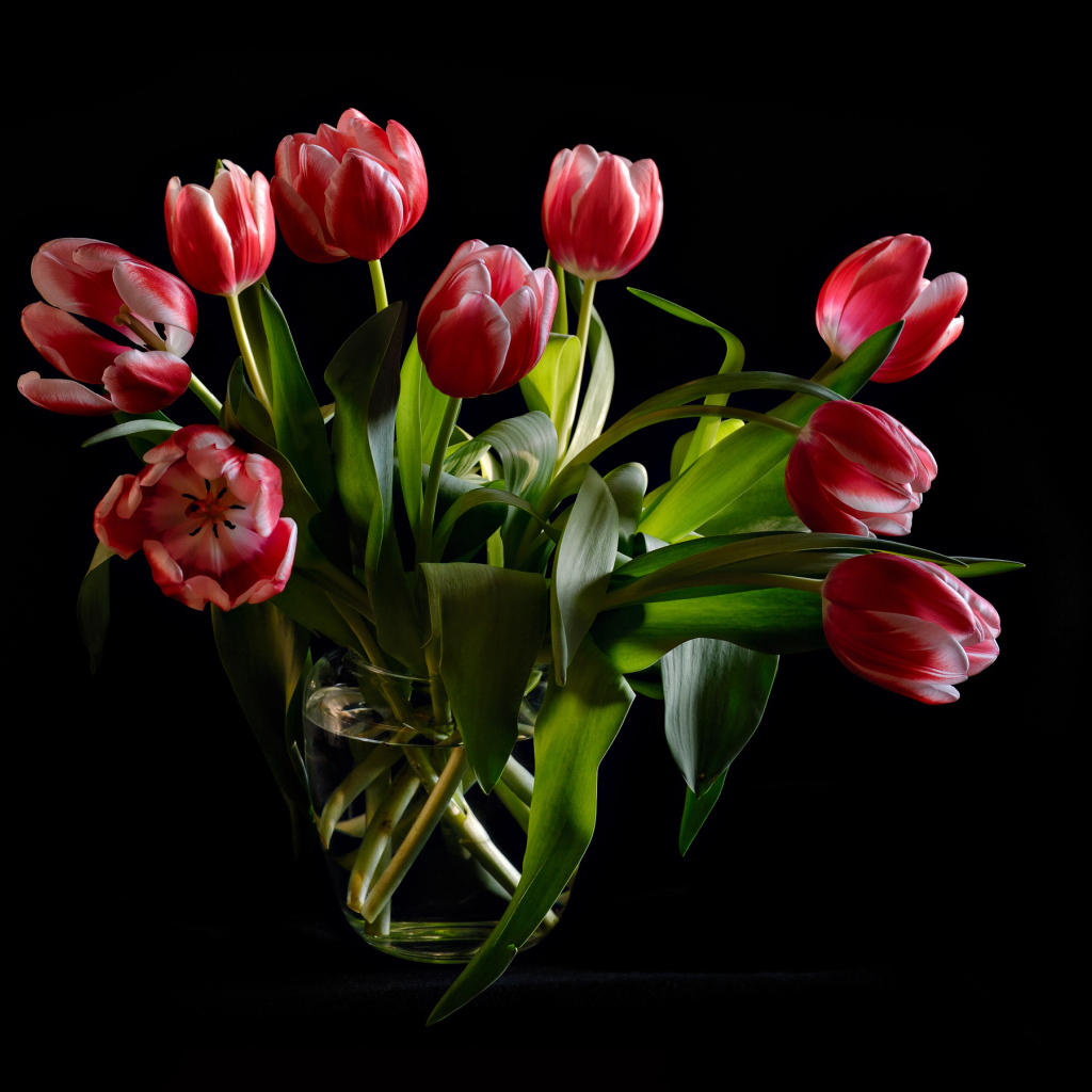 Букет красных тюльпанов в стеклянной вазе на черном фоне