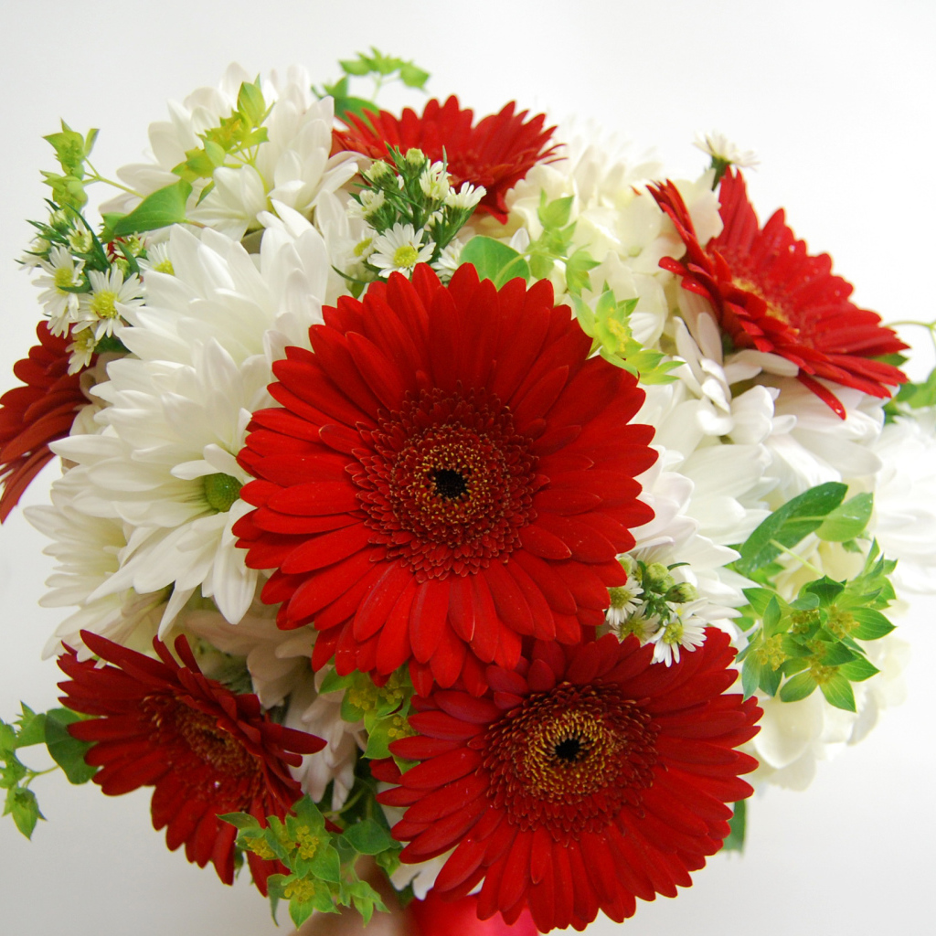 Букет белых хризантем с красными герберами